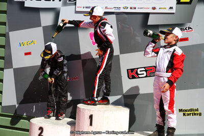 27 & 28/06/2015 : Championnat de France X30 et Coupe de France Minikart à Belmont sur Rance (Photos Stéphane Agnus) 2015 — karting