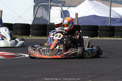 27 & 28/06/2015 : Championnat de France X30 et Coupe de France Minikart à Belmont sur Rance (Photos Stéphane Agnus) 2015 — karting