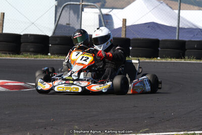 27 & 28/06/2015 : Championnat de France X30 et Coupe de France Minikart à Belmont sur Rance (Photos Stéphane Agnus) 2015 — karting
