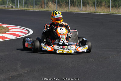 27 & 28/06/2015 : Championnat de France X30 et Coupe de France Minikart à Belmont sur Rance (Photos Stéphane Agnus) 2015 — karting