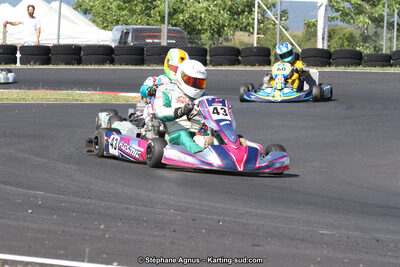 27 & 28/06/2015 : Championnat de France X30 et Coupe de France Minikart à Belmont sur Rance (Photos Stéphane Agnus) 2015 — karting
