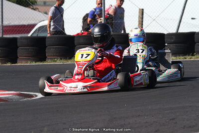 27 & 28/06/2015 : Championnat de France X30 et Coupe de France Minikart à Belmont sur Rance (Photos Stéphane Agnus) 2015 — karting