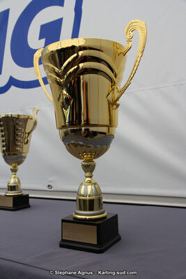27 & 28/06/2015 : Championnat de France X30 et Coupe de France Minikart à Belmont sur Rance (Photos Stéphane Agnus) 2015 — karting
