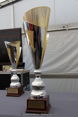 27 & 28/06/2015 : Championnat de France X30 et Coupe de France Minikart à Belmont sur Rance (Photos Stéphane Agnus) 2015 — karting