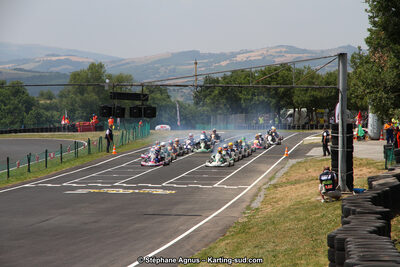 27 & 28/06/2015 : Championnat de France X30 et Coupe de France Minikart à Belmont sur Rance (Photos Stéphane Agnus) 2015 — karting