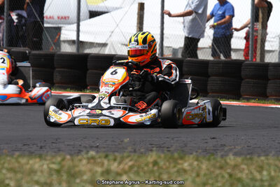 27 & 28/06/2015 : Championnat de France X30 et Coupe de France Minikart à Belmont sur Rance (Photos Stéphane Agnus) 2015 — karting