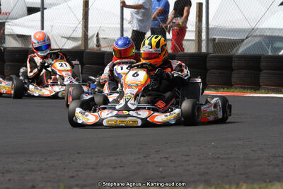 27 & 28/06/2015 : Championnat de France X30 et Coupe de France Minikart à Belmont sur Rance (Photos Stéphane Agnus) 2015 — karting