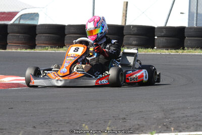 27 & 28/06/2015 : Championnat de France X30 et Coupe de France Minikart à Belmont sur Rance (Photos Stéphane Agnus) 2015 — karting