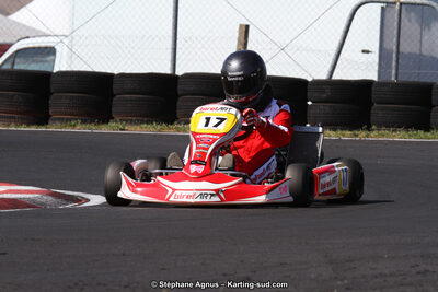 27 & 28/06/2015 : Championnat de France X30 et Coupe de France Minikart à Belmont sur Rance (Photos Stéphane Agnus) 2015 — karting