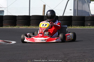 27 & 28/06/2015 : Championnat de France X30 et Coupe de France Minikart à Belmont sur Rance (Photos Stéphane Agnus) 2015 — karting