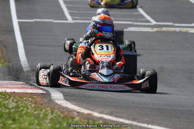 27 & 28/06/2015 : Championnat de France X30 et Coupe de France Minikart à Belmont sur Rance (Photos Stéphane Agnus) 2015 — karting