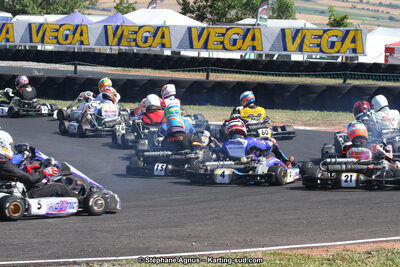 27 & 28/06/2015 : Championnat de France X30 et Coupe de France Minikart à Belmont sur Rance (Photos Stéphane Agnus) 2015 — karting
