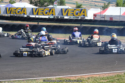 27 & 28/06/2015 : Championnat de France X30 et Coupe de France Minikart à Belmont sur Rance (Photos Stéphane Agnus) 2015 — karting