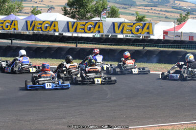 27 & 28/06/2015 : Championnat de France X30 et Coupe de France Minikart à Belmont sur Rance (Photos Stéphane Agnus) 2015 — karting