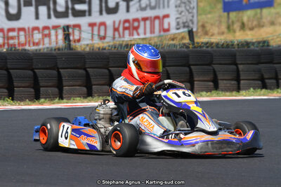 27 & 28/06/2015 : Championnat de France X30 et Coupe de France Minikart à Belmont sur Rance (Photos Stéphane Agnus) 2015 — karting
