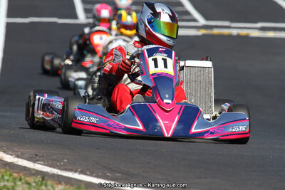 27 & 28/06/2015 : Championnat de France X30 et Coupe de France Minikart à Belmont sur Rance (Photos Stéphane Agnus) 2015 — karting