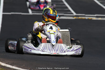 27 & 28/06/2015 : Championnat de France X30 et Coupe de France Minikart à Belmont sur Rance (Photos Stéphane Agnus) 2015 — karting