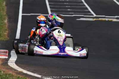 27 & 28/06/2015 : Championnat de France X30 et Coupe de France Minikart à Belmont sur Rance (Photos Stéphane Agnus) 2015 — karting