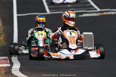 27 & 28/06/2015 : Championnat de France X30 et Coupe de France Minikart à Belmont sur Rance (Photos Stéphane Agnus) 2015 — karting
