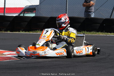 27 & 28/06/2015 : Championnat de France X30 et Coupe de France Minikart à Belmont sur Rance (Photos Stéphane Agnus) 2015 — karting