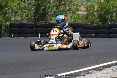 27 & 28/06/2015 : Championnat de France X30 et Coupe de France Minikart à Belmont sur Rance (Photos Stéphane Agnus) 2015 — karting