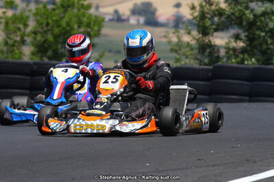 27 & 28/06/2015 : Championnat de France X30 et Coupe de France Minikart à Belmont sur Rance (Photos Stéphane Agnus) 2015 — karting