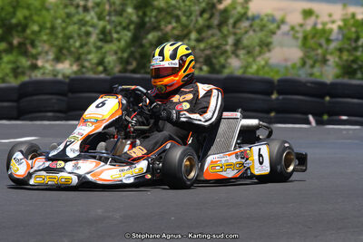 27 & 28/06/2015 : Championnat de France X30 et Coupe de France Minikart à Belmont sur Rance (Photos Stéphane Agnus) 2015 — karting