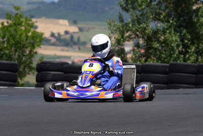 27 & 28/06/2015 : Championnat de France X30 et Coupe de France Minikart à Belmont sur Rance (Photos Stéphane Agnus) 2015 — karting