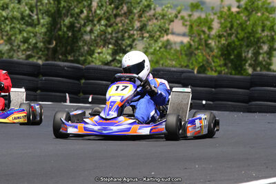 27 & 28/06/2015 : Championnat de France X30 et Coupe de France Minikart à Belmont sur Rance (Photos Stéphane Agnus) 2015 — karting