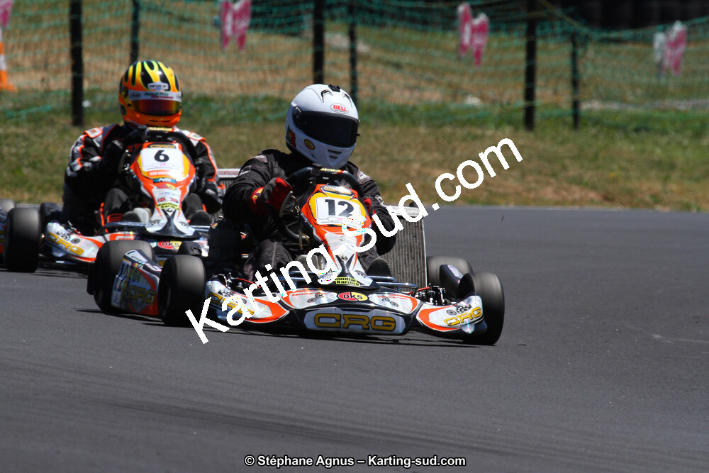 27 & 28/06/2015 : Championnat de France X30 et Coupe de France Minikart à Belmont sur Rance (Photos Stéphane Agnus) 2015 — karting