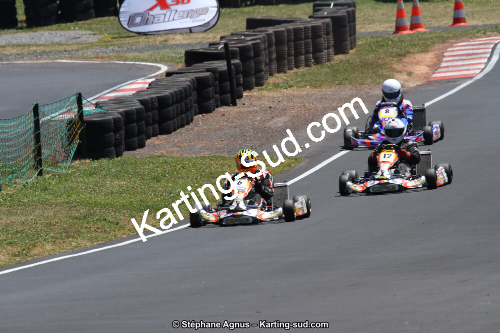 27 & 28/06/2015 : Championnat de France X30 et Coupe de France Minikart à Belmont sur Rance (Photos Stéphane Agnus) 2015 — karting