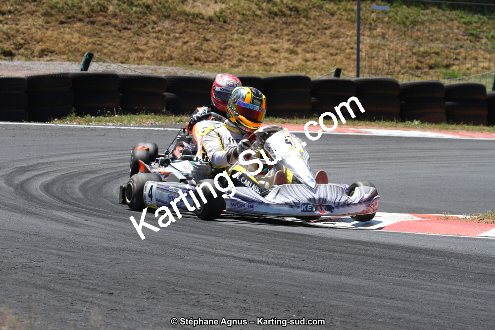 27 & 28/06/2015 : Championnat de France X30 et Coupe de France Minikart à Belmont sur Rance (Photos Stéphane Agnus) 2015 — karting