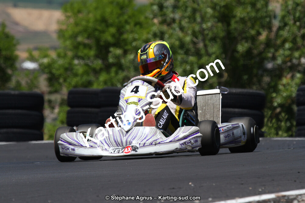 27 & 28/06/2015 : Championnat de France X30 et Coupe de France Minikart à Belmont sur Rance (Photos Stéphane Agnus) 2015 — karting