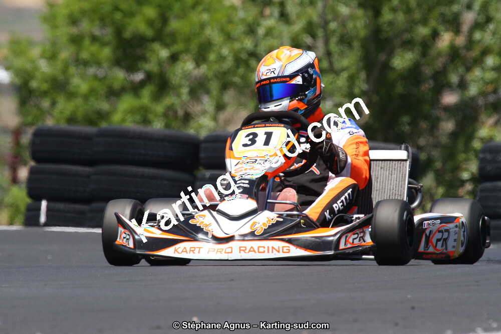 27 & 28/06/2015 : Championnat de France X30 et Coupe de France Minikart à Belmont sur Rance (Photos Stéphane Agnus) 2015 — karting
