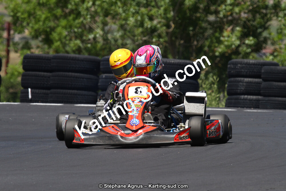 27 & 28/06/2015 : Championnat de France X30 et Coupe de France Minikart à Belmont sur Rance (Photos Stéphane Agnus) 2015 — karting