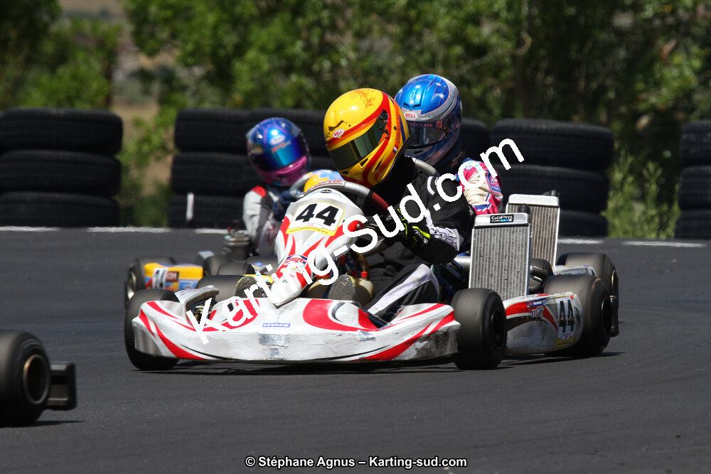 27 & 28/06/2015 : Championnat de France X30 et Coupe de France Minikart à Belmont sur Rance (Photos Stéphane Agnus) 2015 — karting