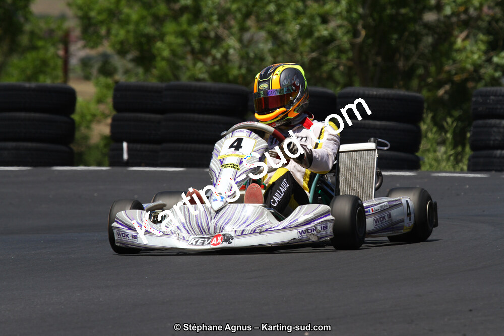 27 & 28/06/2015 : Championnat de France X30 et Coupe de France Minikart à Belmont sur Rance (Photos Stéphane Agnus) 2015 — karting