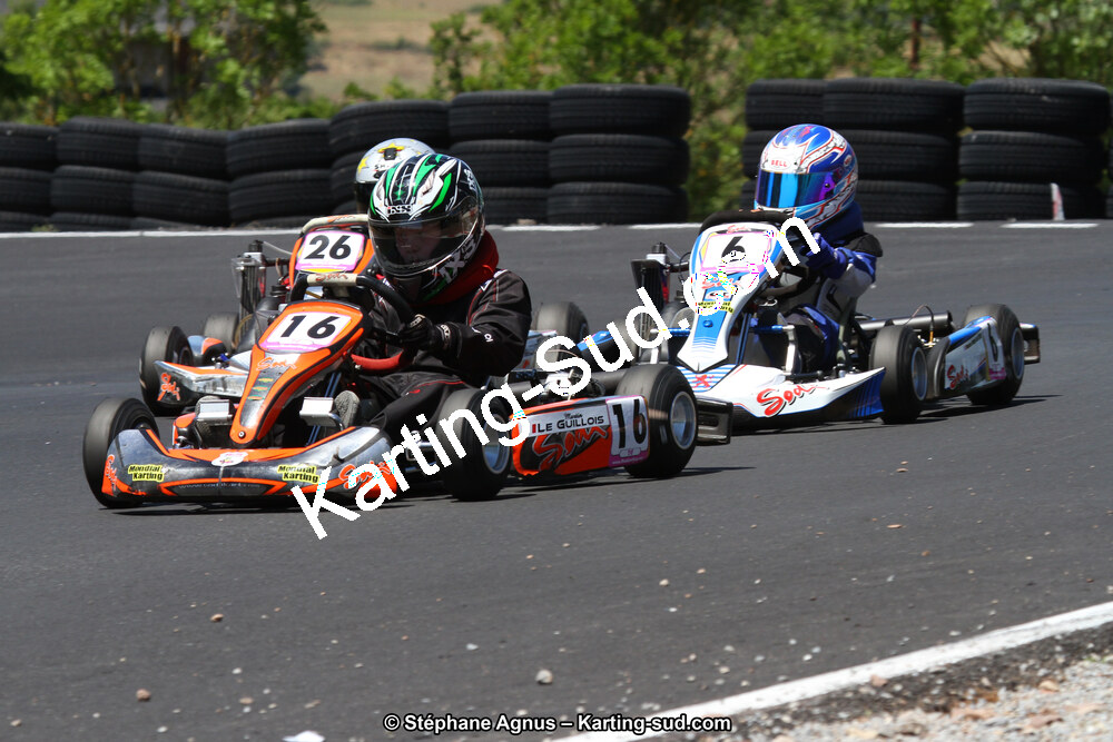 27 & 28/06/2015 : Championnat de France X30 et Coupe de France Minikart à Belmont sur Rance (Photos Stéphane Agnus) 2015 — karting