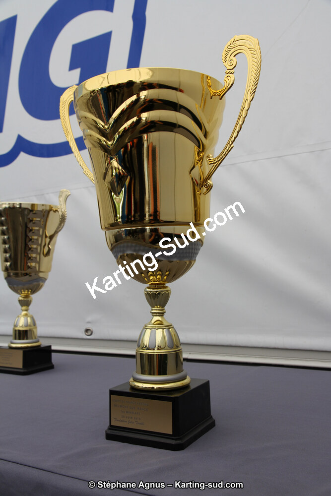 27 & 28/06/2015 : Championnat de France X30 et Coupe de France Minikart à Belmont sur Rance (Photos Stéphane Agnus) 2015 — karting
