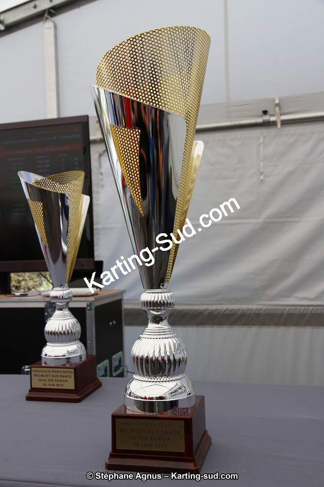 27 & 28/06/2015 : Championnat de France X30 et Coupe de France Minikart à Belmont sur Rance (Photos Stéphane Agnus) 2015 — karting