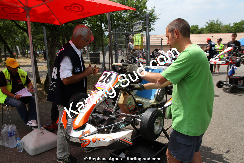 27 & 28/06/2015 : Championnat de France X30 et Coupe de France Minikart à Belmont sur Rance (Photos Stéphane Agnus) 2015 — karting
