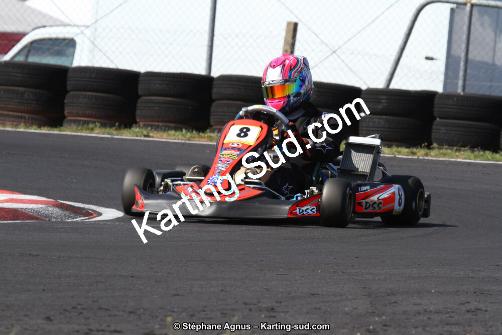 27 & 28/06/2015 : Championnat de France X30 et Coupe de France Minikart à Belmont sur Rance (Photos Stéphane Agnus) 2015 — karting