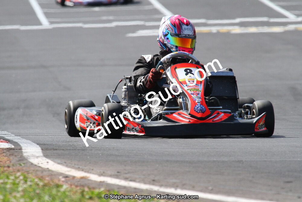 27 & 28/06/2015 : Championnat de France X30 et Coupe de France Minikart à Belmont sur Rance (Photos Stéphane Agnus) 2015 — karting