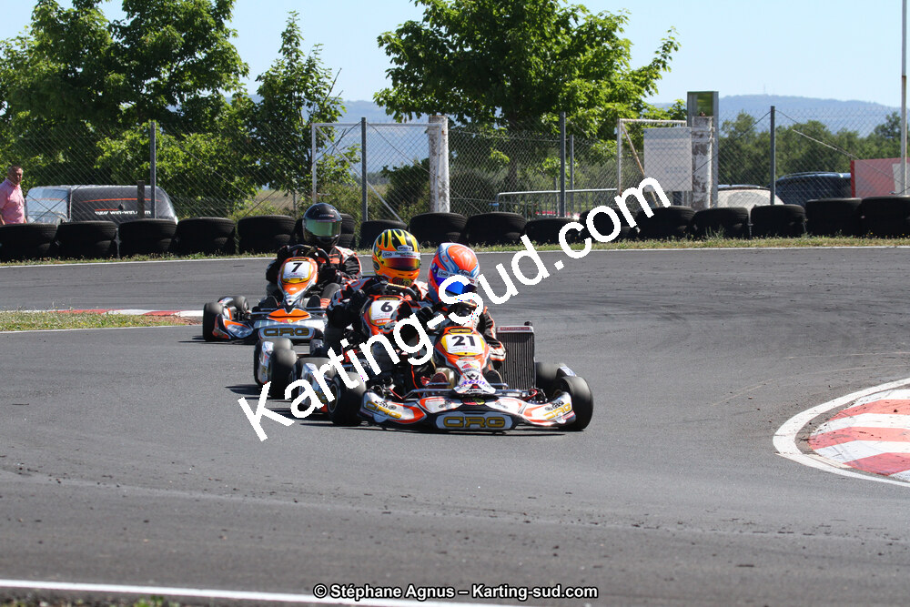 27 & 28/06/2015 : Championnat de France X30 et Coupe de France Minikart à Belmont sur Rance (Photos Stéphane Agnus) 2015 — karting