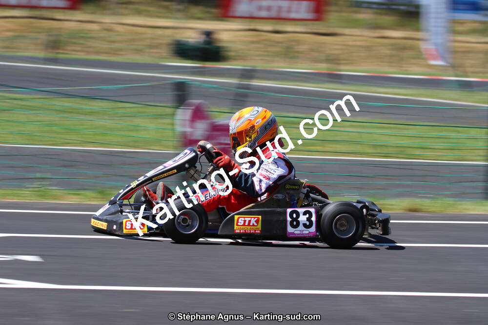 27 & 28/06/2015 : Championnat de France X30 et Coupe de France Minikart à Belmont sur Rance (Photos Stéphane Agnus) 2015 — karting