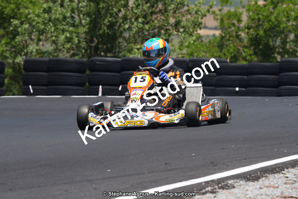 27 & 28/06/2015 : Championnat de France X30 et Coupe de France Minikart à Belmont sur Rance (Photos Stéphane Agnus) 2015 — karting