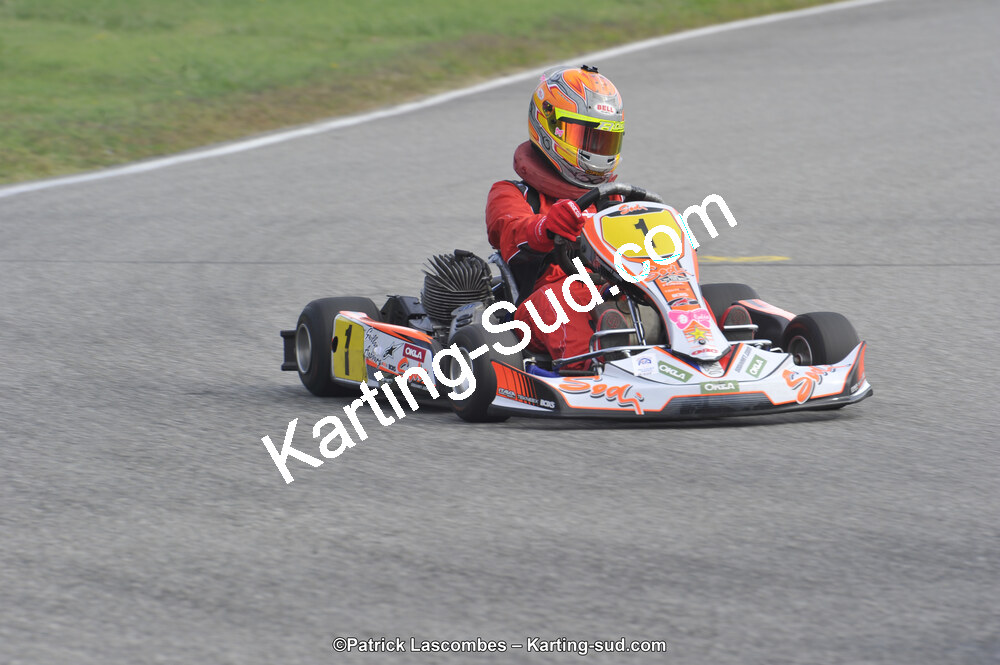 13/09/2015 : Rassemblement Midi-Pyrénées et Languedoc-Roussillon à Lavelanet (Photos Patrick Lascombes) 2015 — karting