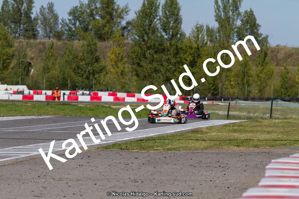 IMG_2082.jpg