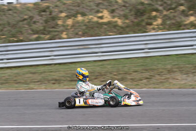 14 et 15/11/2015 : Championnat de France KZ Long Circuit à Pau-Arnos (Photos Stéphane Agnus) 2015 — karting