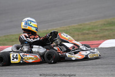14 et 15/11/2015 : Championnat de France KZ Long Circuit à Pau-Arnos (Photos Stéphane Agnus) 2015 — karting